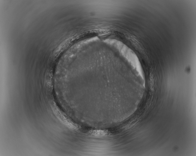 X0000116030449200912111420