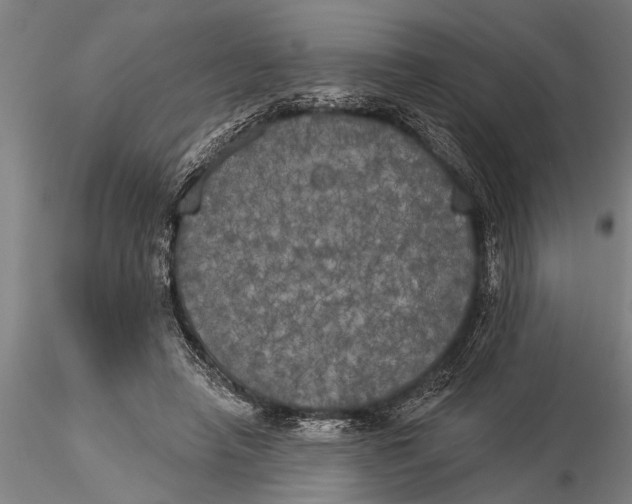 X0000116030450200912111420