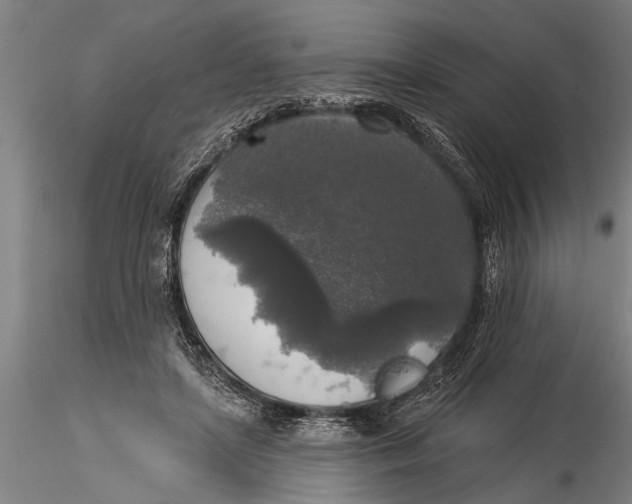 X0000116030451200912111420