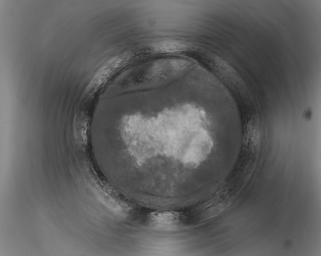 X0000116030452200912111420