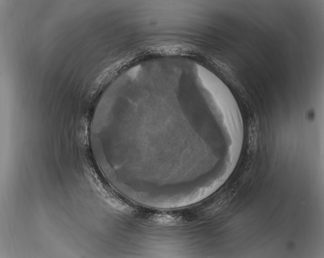 X0000116030453200912111420