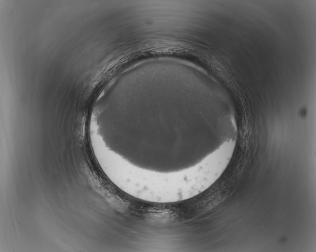 X0000116030454200912111420