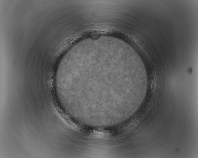 X0000116030455200912111420