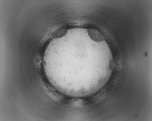 X0000116030456200912111420