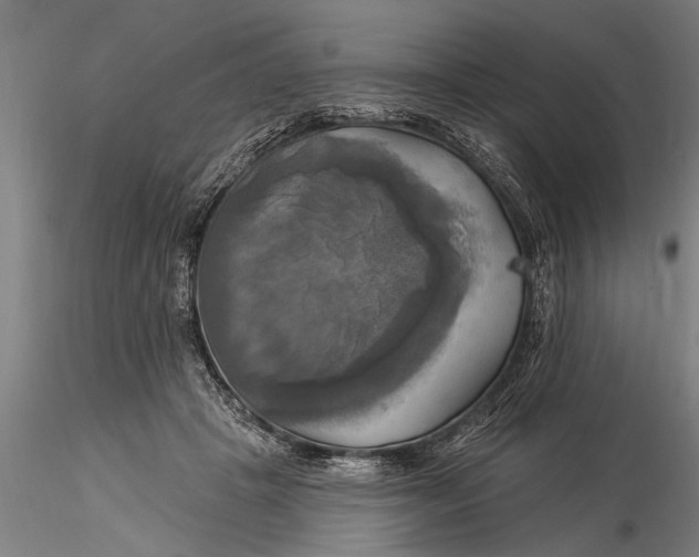 X0000116030457200912111420