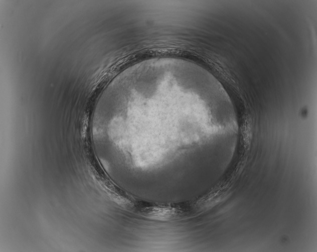 X0000116030458200912111420