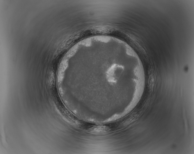 X0000116030459200912111420