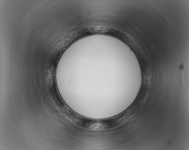 X0000116030460200912111420