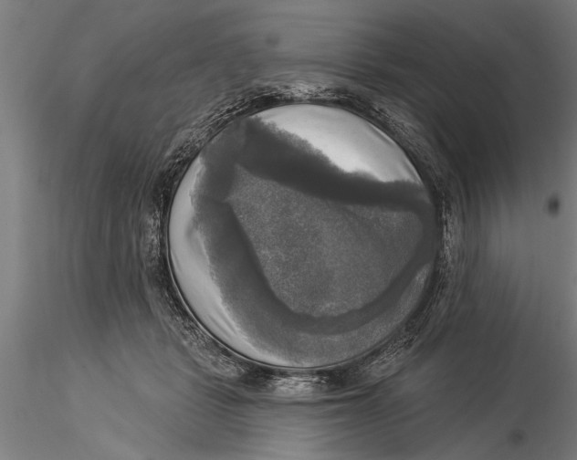 X0000116030461200912111420