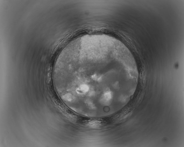 X0000116030462200912111420