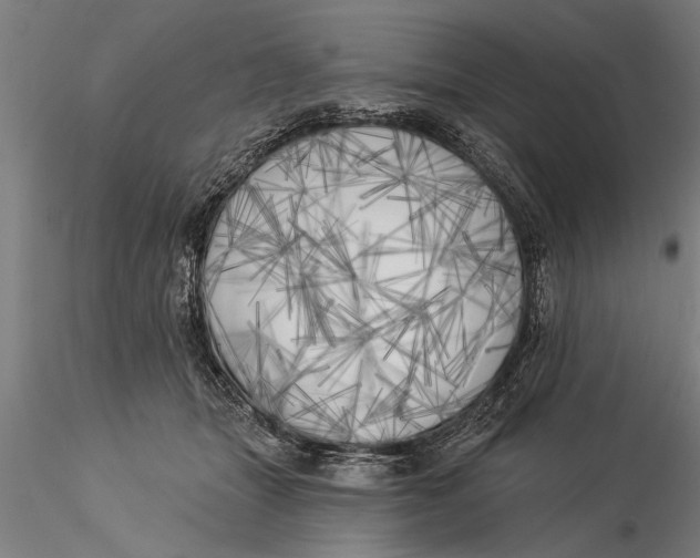 X0000116030463200912111420