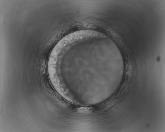 X0000116030465200912111420