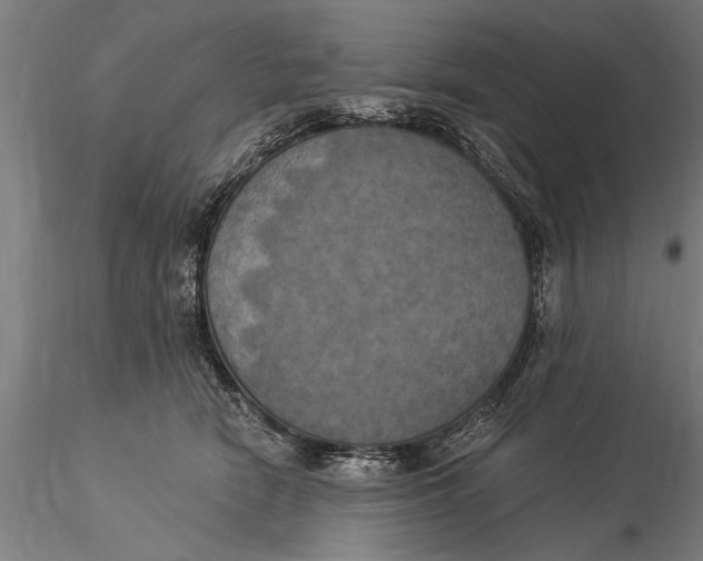 X0000116030466200912111420