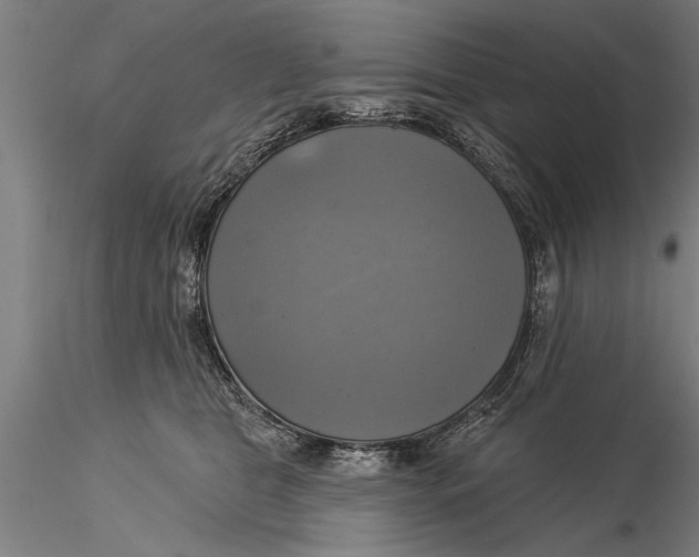 X0000116030469200912111420