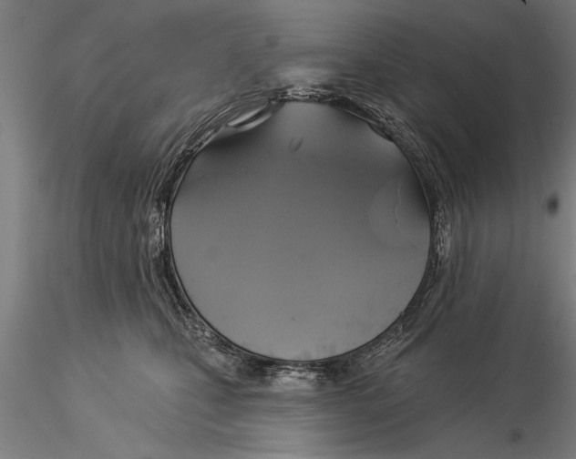 X0000116030471200912111420