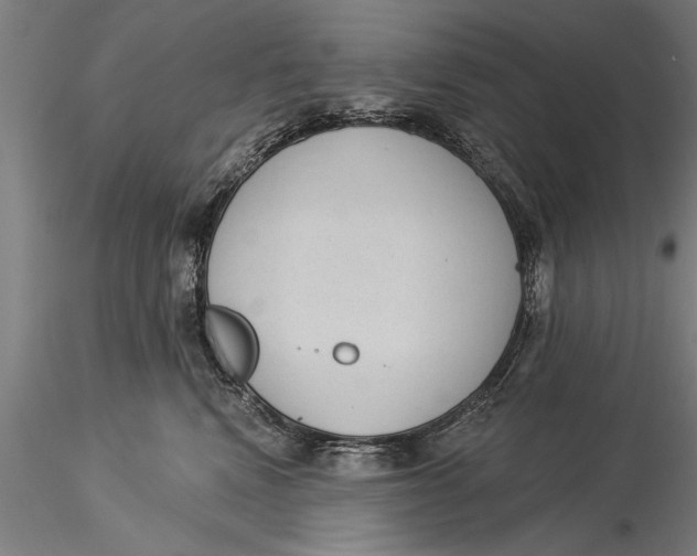 X0000116030472200912111420