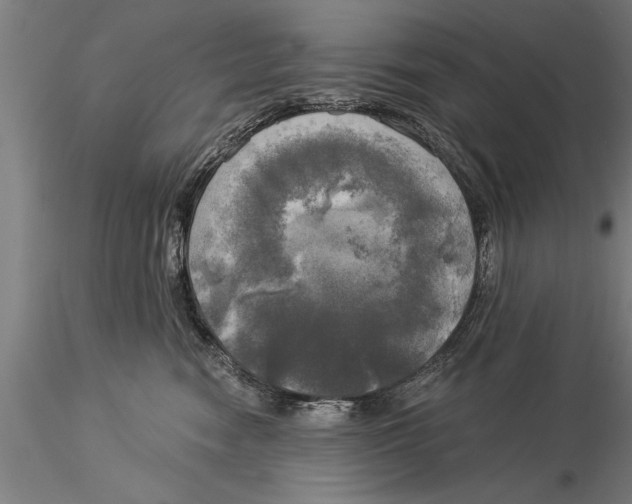 X0000116030474200912111420