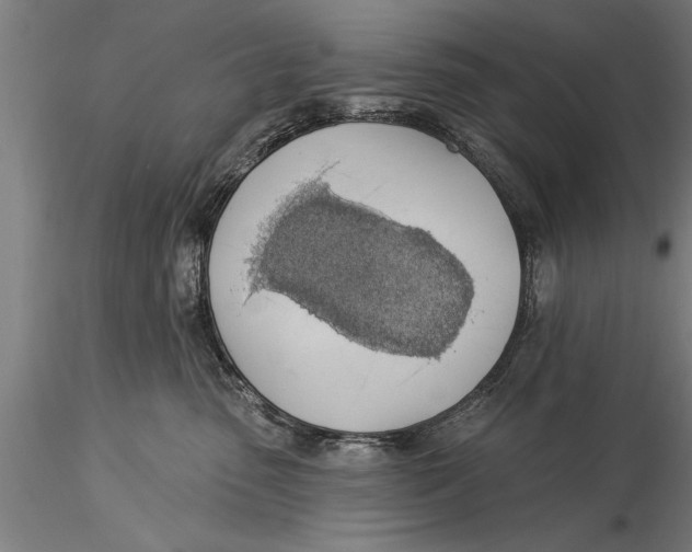 X0000116030475200912111420