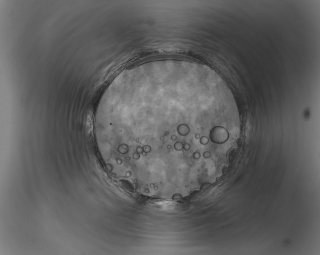 X0000116030478200912111420