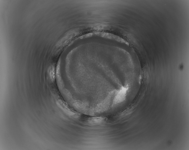 X0000116030479200912111420