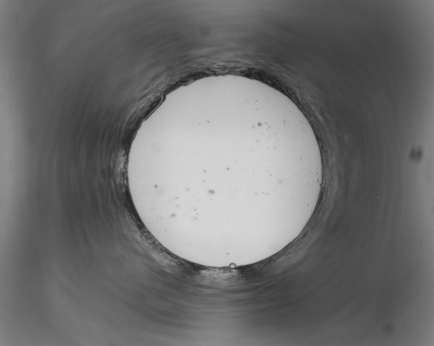 X0000116030480200912111420