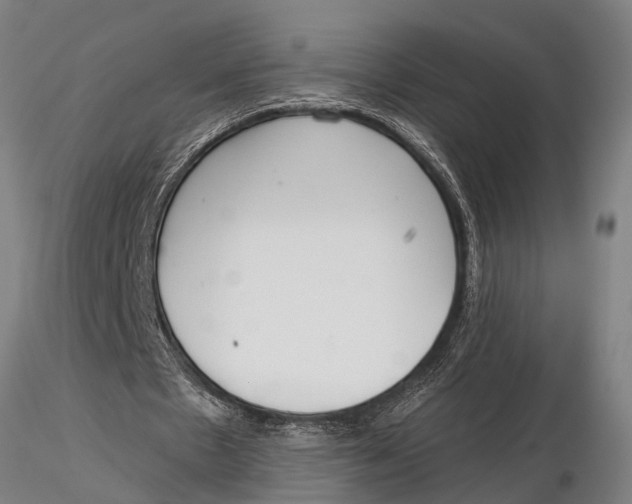 X0000116030481200912111419