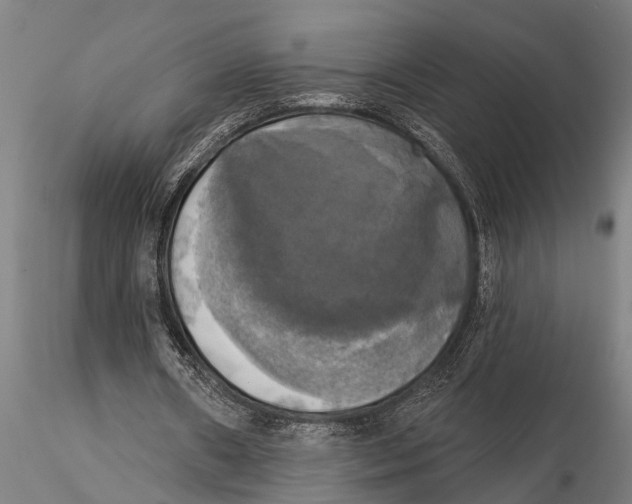 X0000116030482200912111419