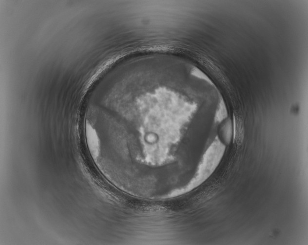 X0000116030483200912111419