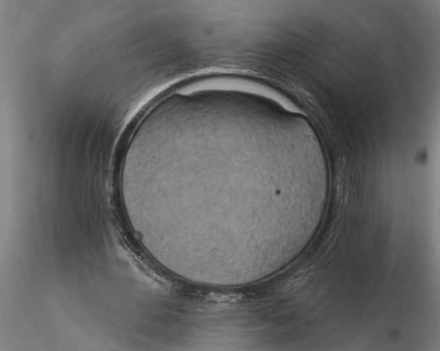 X0000116030484200912111419