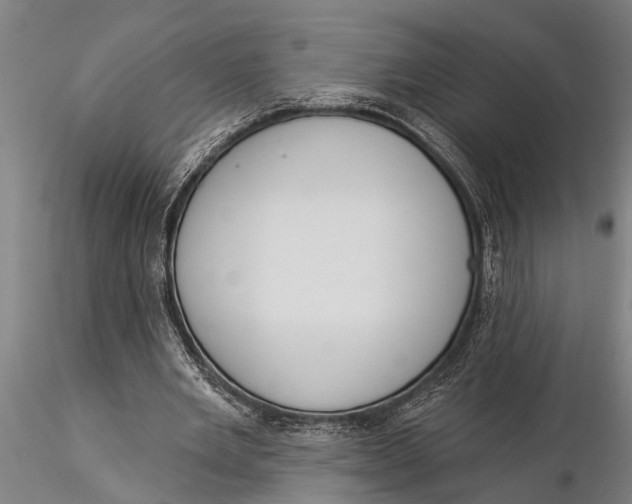 X0000116030485200912111419