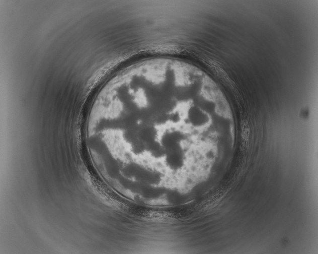 X0000116030487200912111419