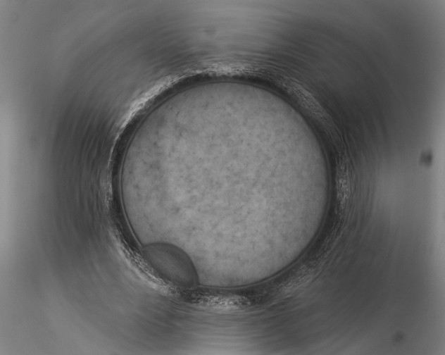 X0000116030488200912111419