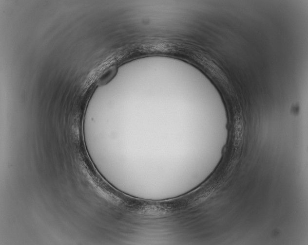 X0000116030489200912111419