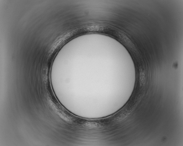 X0000116030490200912111419