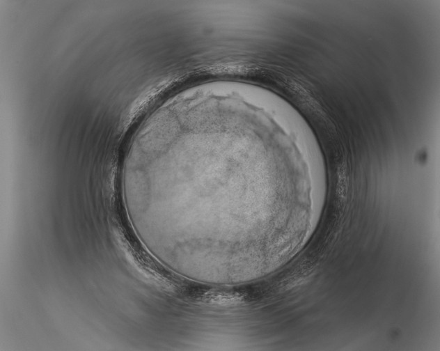 X0000116030491200912111419