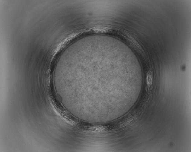 X0000116030492200912111419