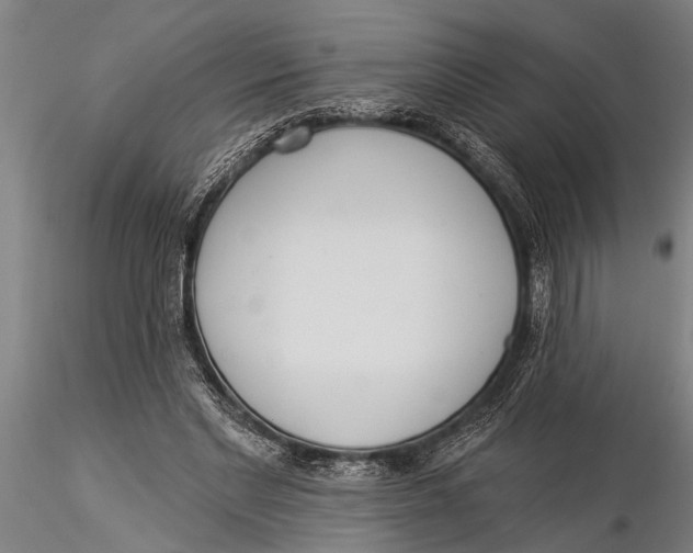 X0000116030493200912111419