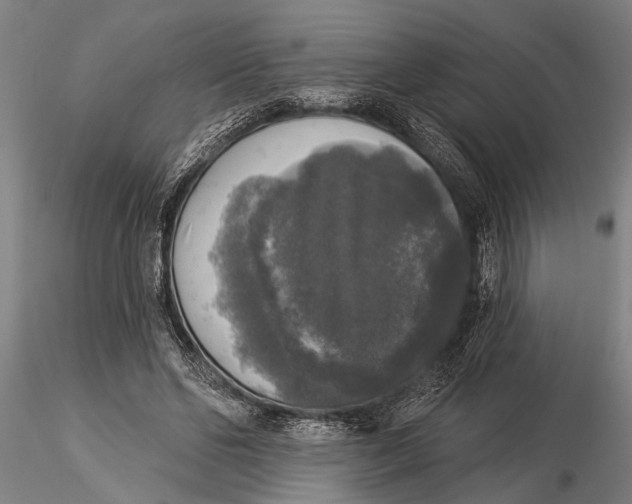 X0000116030494200912111419