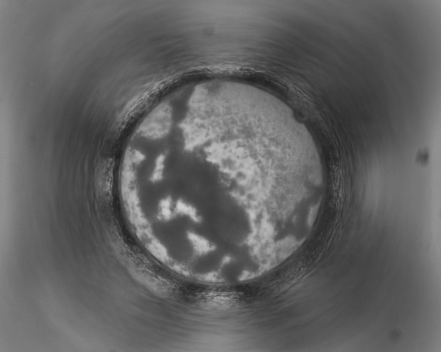 X0000116030495200912111419