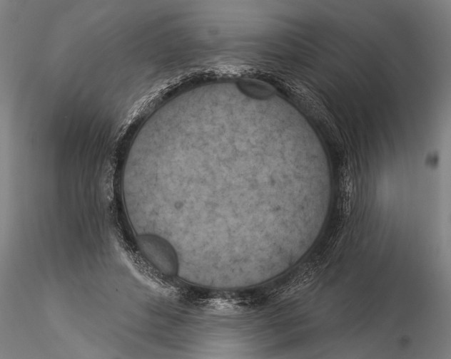 X0000116030496200912111419