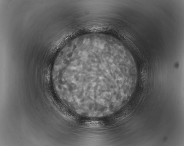 X0000116030499200912111419