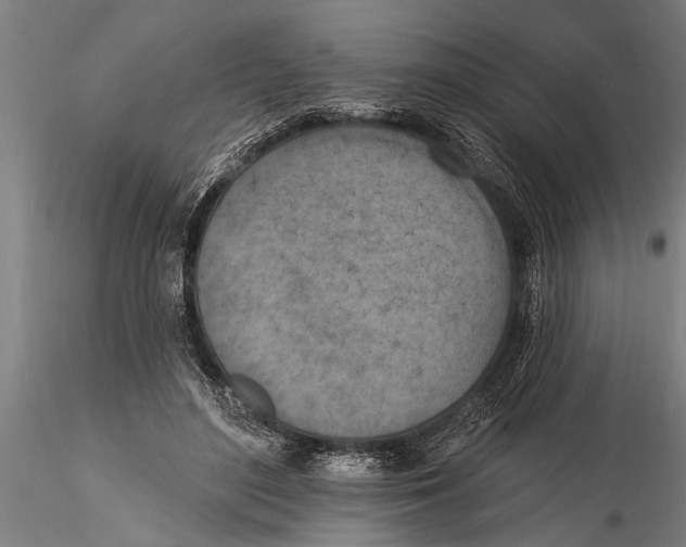 X0000116030500200912111419