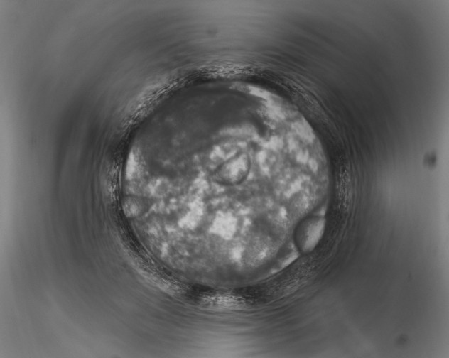 X0000116030503200912111419