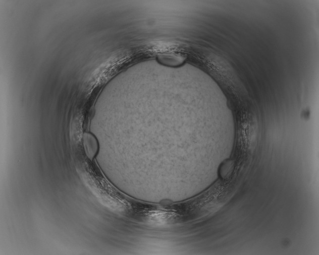 X0000116030504200912111419