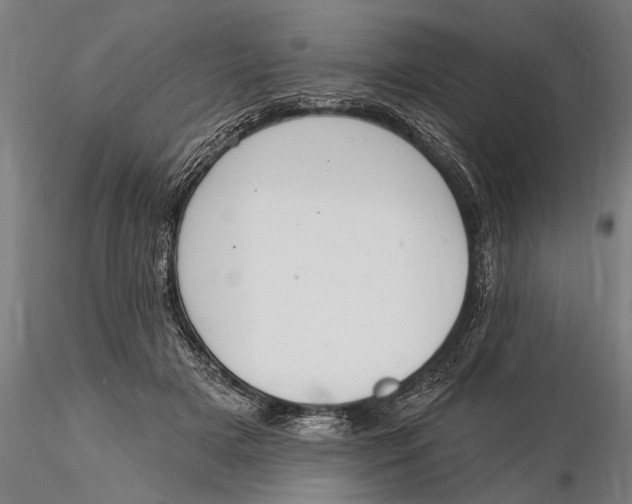 X0000116030505200912111419