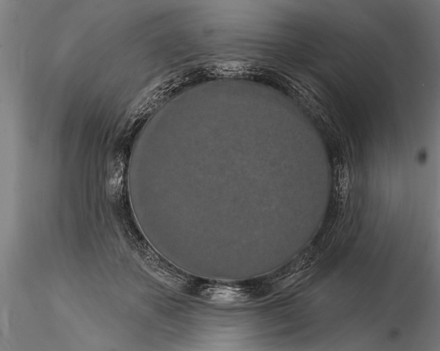 X0000116030507200912111419