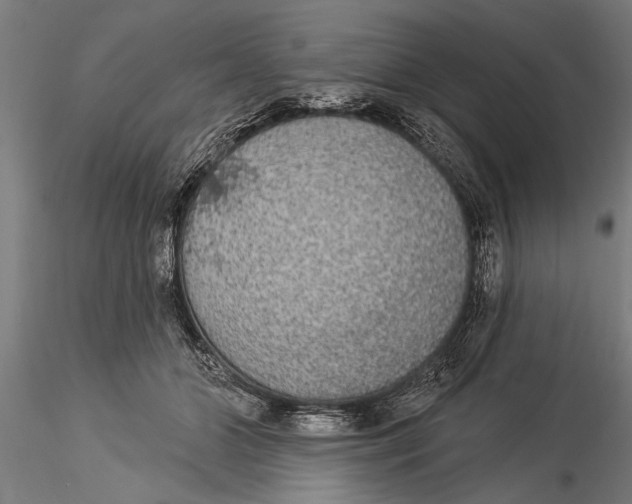 X0000116030510200912111419