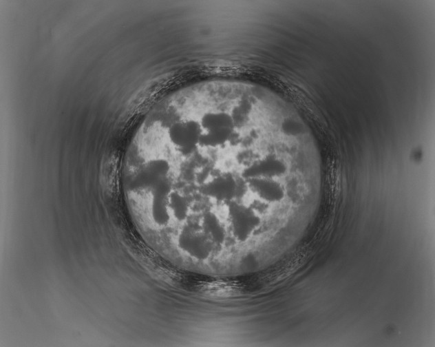 X0000116030511200912111419