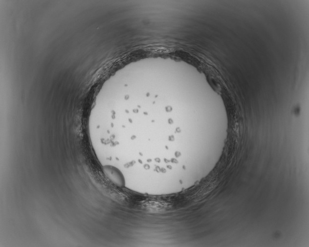 X0000116030512200912111419