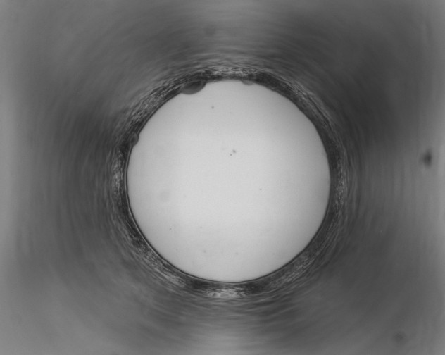 X0000116030513200912111419